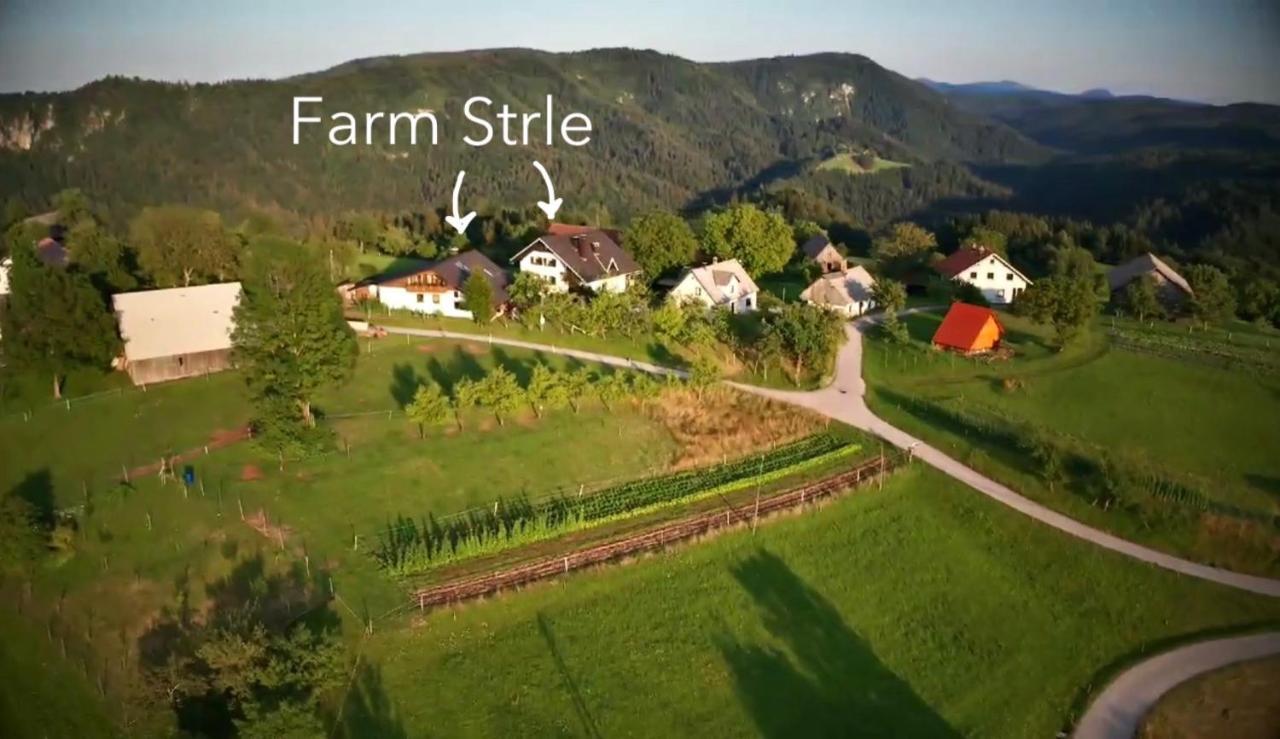 체르크니차 Tourist Farm Strle With Great Local Food 빌라 외부 사진